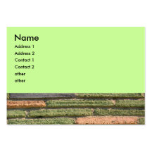 colourful wall business card