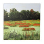 Colourful Wetlands Tile