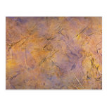 Colourful Yellow Chicken Tracks Postcard