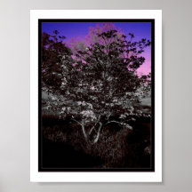 Colours Ahead of Me Prints