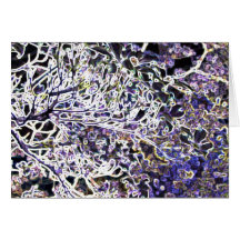 Colours Blooms Greeting Card