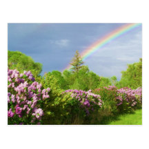 colours in nature card postcards