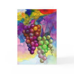 Colours of autumn grapevine