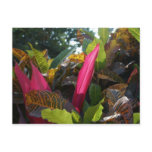 Colours of Bucerias, Mexico