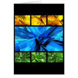 Colours of Life