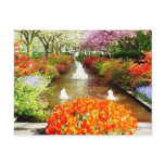Colours of Life Postcard