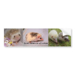 colours of love bumper sticker