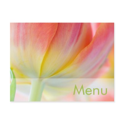 Colours of Spring • Menu Postcard by SabineStGreetings