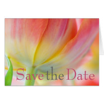 Colours of Spring Tulip Save the Date Card