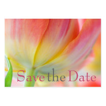 Colours of Spring Tulip Save the Date Mini Card