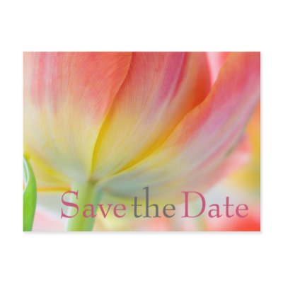 Colours of Spring Tulip Save the Date Postcard by SabineStGreetings