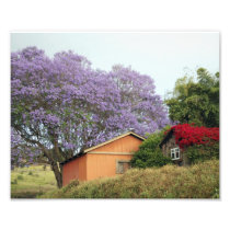 Colours of Upcountry Maui Art Photo