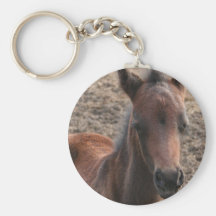 Colt Photo Keychain
