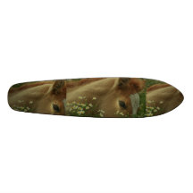 Colt Resting in Flowers Skateboard