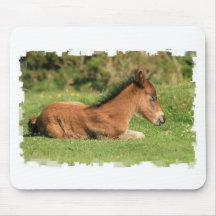Colt Resting in Grass Mouse Pad