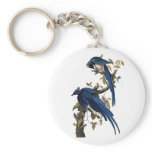 Columbia Jay by John James Audubon Keychains