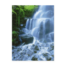 Columbia River Postcard