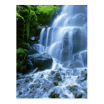 Columbia River Postcard