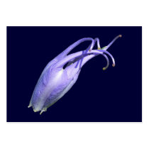 Columbine 122 ~ ATC