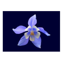 Columbine 158 ~ ATC