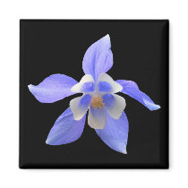Columbine 158 ~ magnet