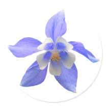 Columbine 158 ~ sticker