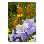 Columbine and Friends Card
