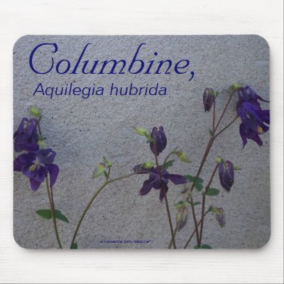 COLUMBINE, AQUELEGIA HUBRIDA MOUSE PAD by dequilla