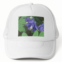 Columbine Baseball Hat