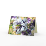 Columbine Birthday Card