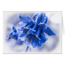 Columbine bleu vif carte de vœux