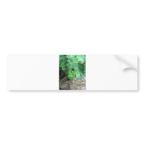 Columbine Bumper Stick Bumper Sticker