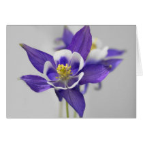 Columbine Card
