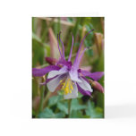 Columbine Card