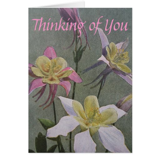 Columbine Cartes De Vœux