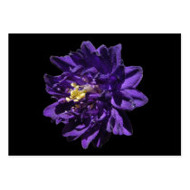 Columbine flower ~ ATC card