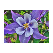 Columbine flower canvas wrap