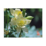 Columbine flower means to win postcard