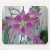 Columbine Flower mousepad