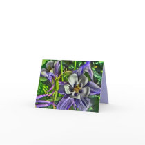 Columbine flower note card