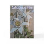 Columbine II Card