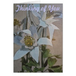 Columbine II Carte De Vœux