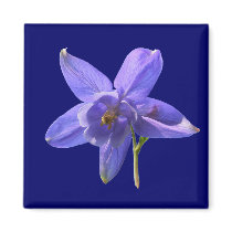 Columbine ~ magnet