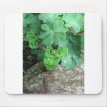 Columbine Mouse Pad