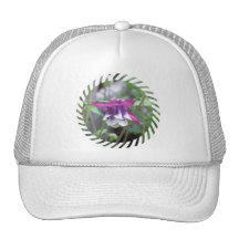 Columbine Photos Baseball Cap Trucker Hat
