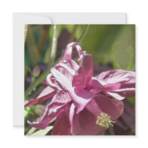 Columbine Pictures Invitation