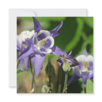 Columbine Plants Invitation