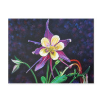 Columbine Post Cards