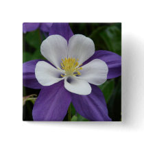 Columbine Purple and White Flower Button