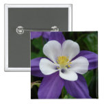 Columbine Purple and White Flower Button